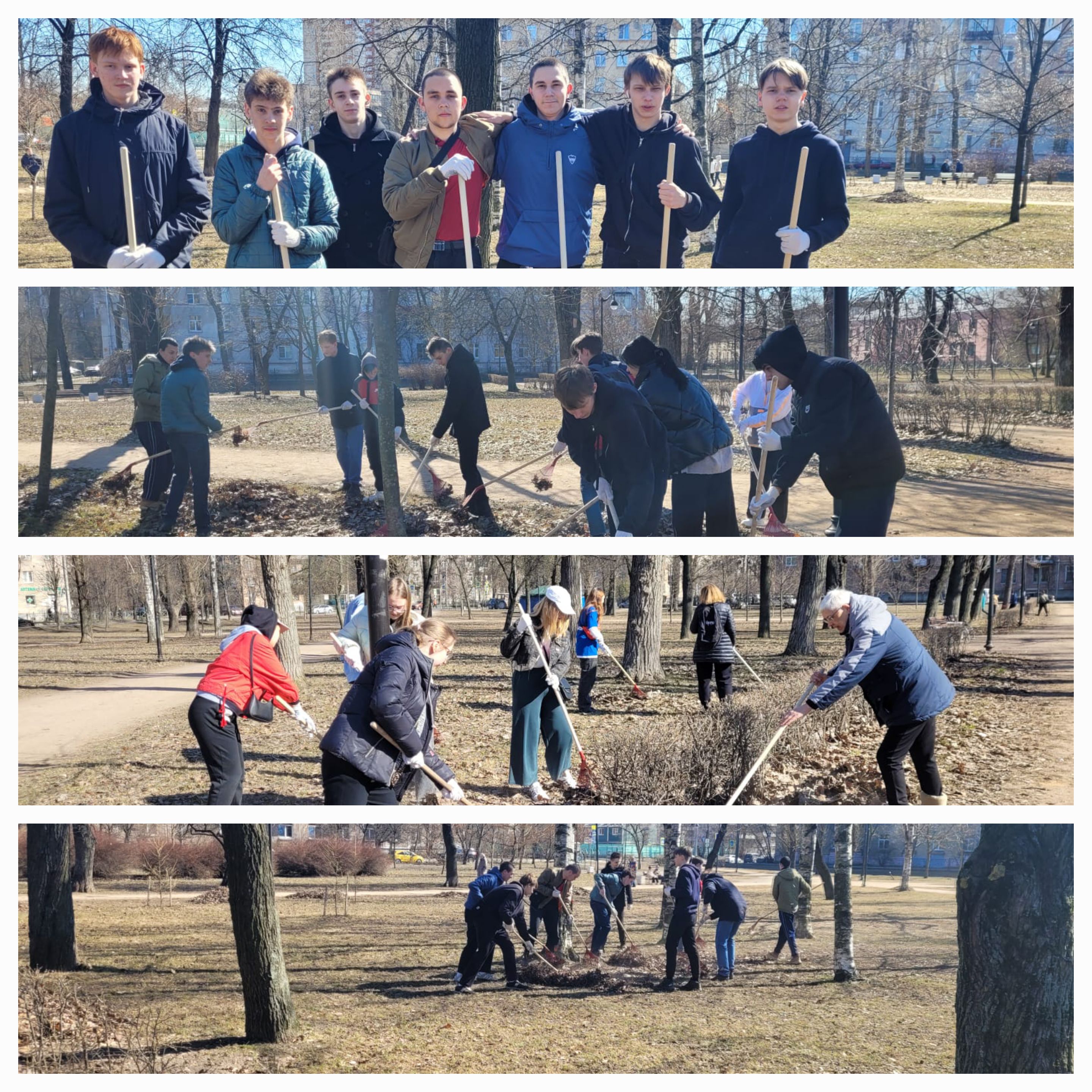 ФОТО Палевский сад